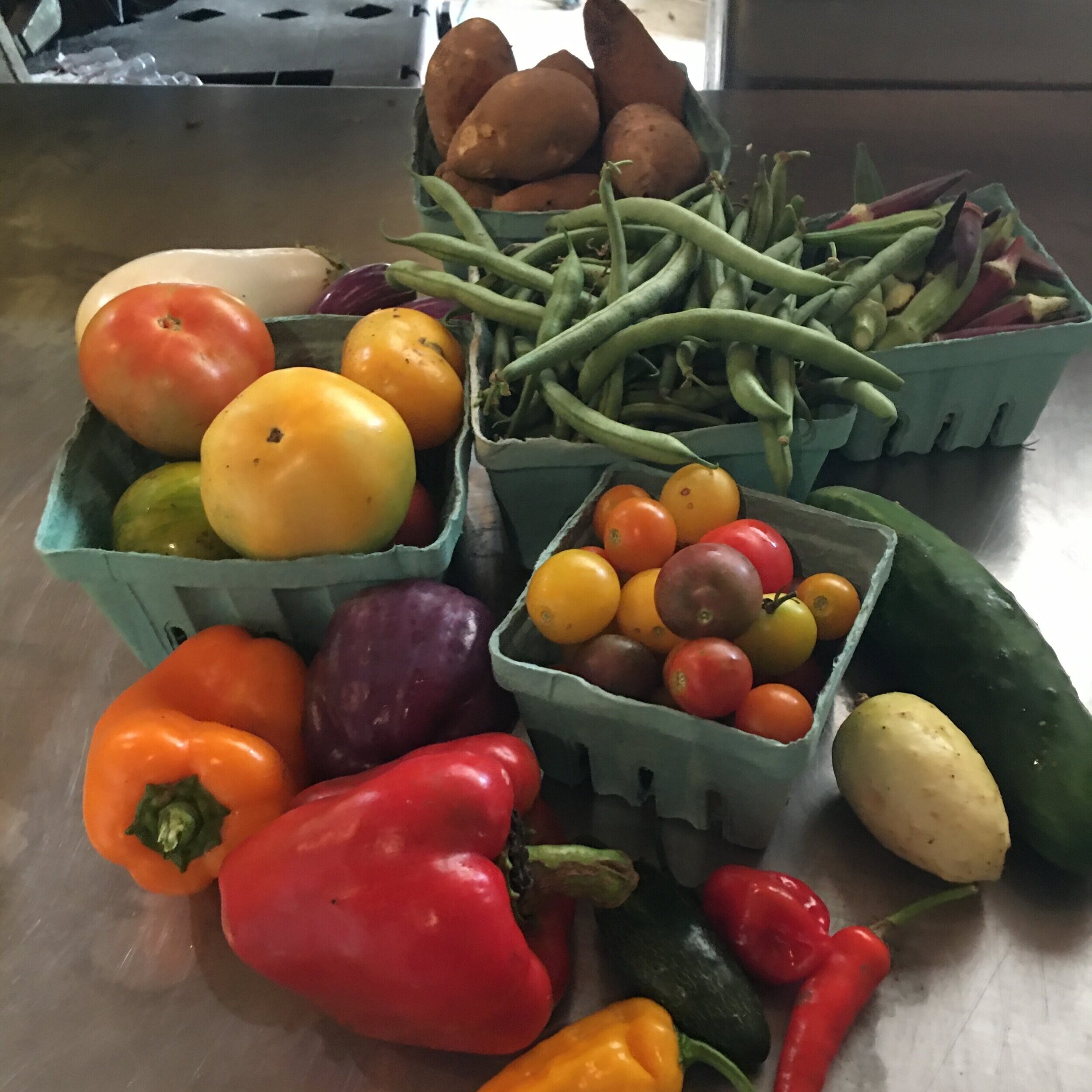 Freshly harvested vegetables including tomatoes, peppers, cucumbers, green beans, and sweet potatoes arranged in baskets on a stainless steel surface.