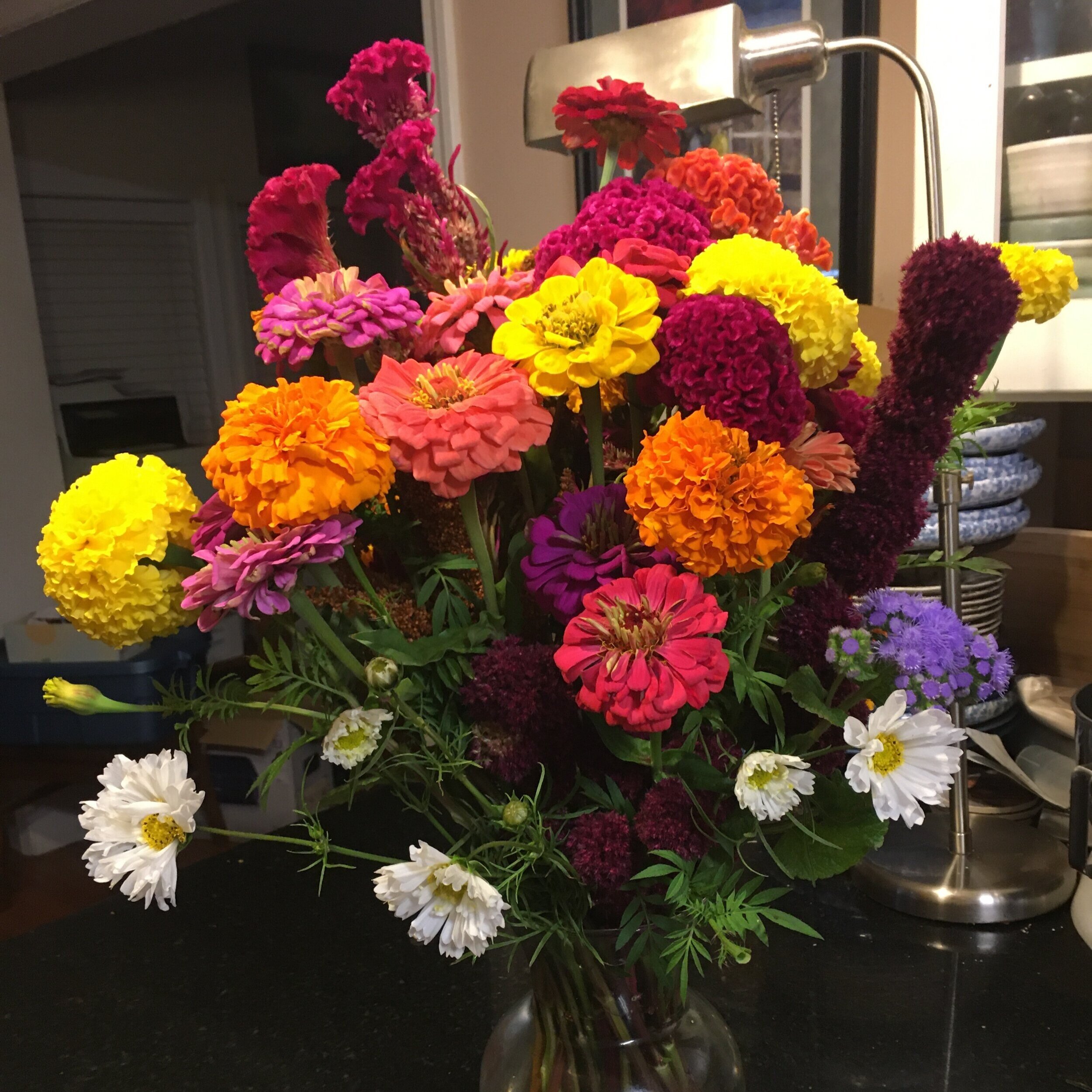 Colorful bouquet of fresh flowers including zinnias, marigolds, and daisies arranged in a glass vase on a kitchen counter, showcasing vibrant hues of yellow, orange, pink, purple, and white.