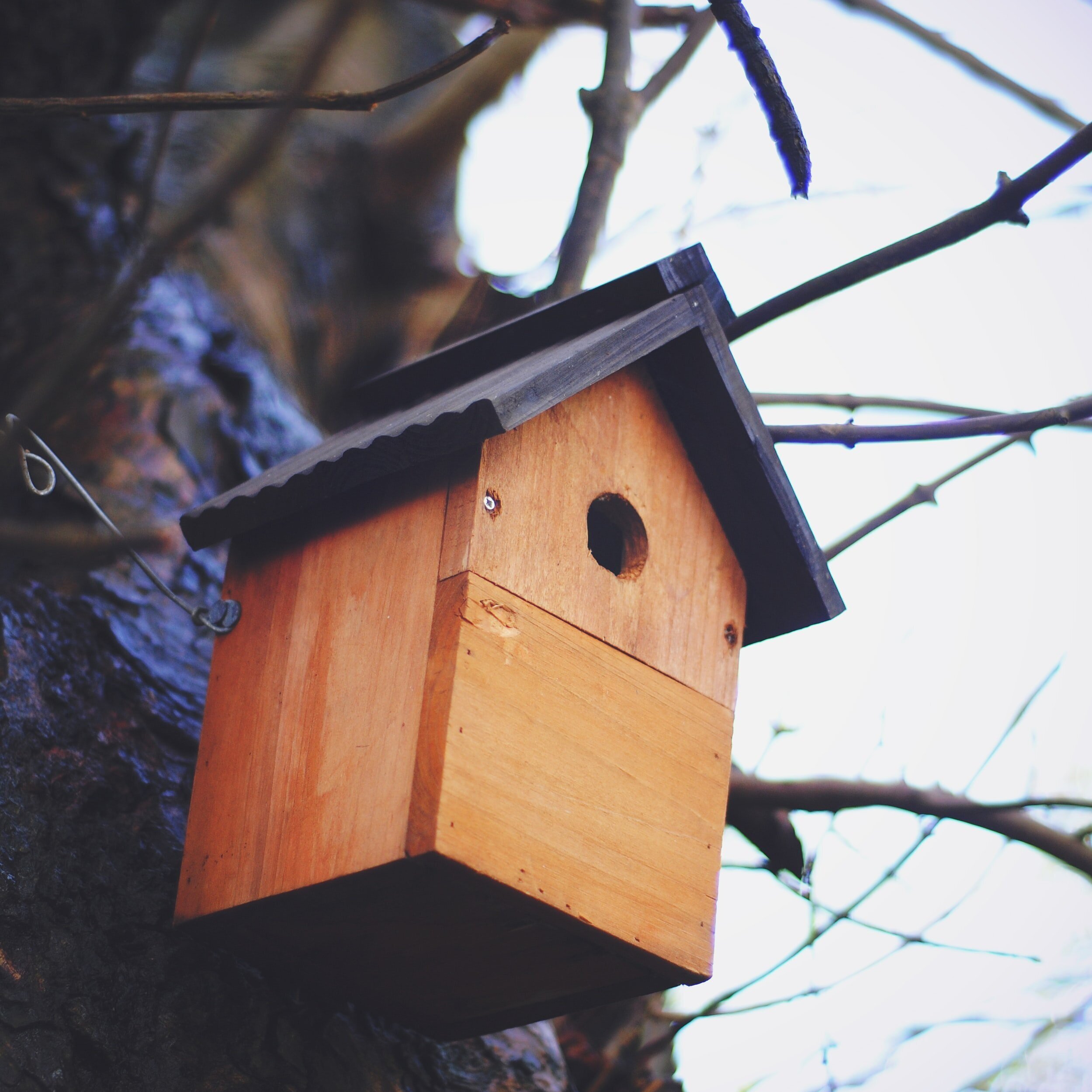 Wooden birdhouse attached to a tree, featuring a slanted roof and a circular entrance hole, surrounded by bare branches against a blurred background.